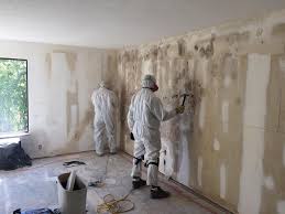 Best Post-Construction Mold Inspection  in Hondo, TX